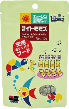 教材乾燥イトミミズ
