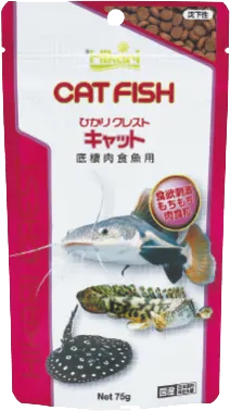 ひかりクレストキャット
